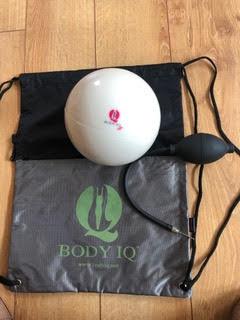 Body IQ Small Ball Fit Kit